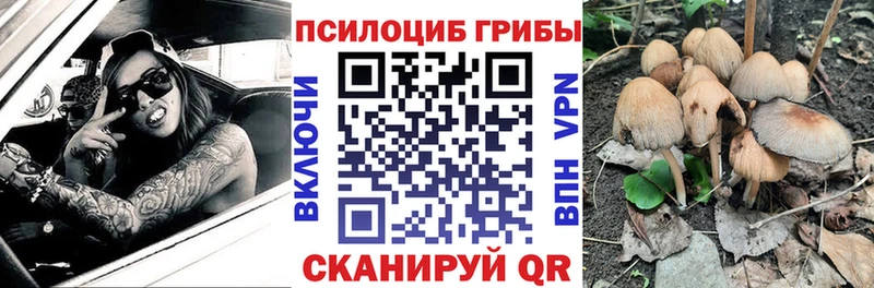 Галлюциногенные грибы мицелий  Купить  Борзя 